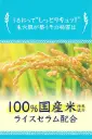 71JyG3iLh8L._AC_SL1500_.webp