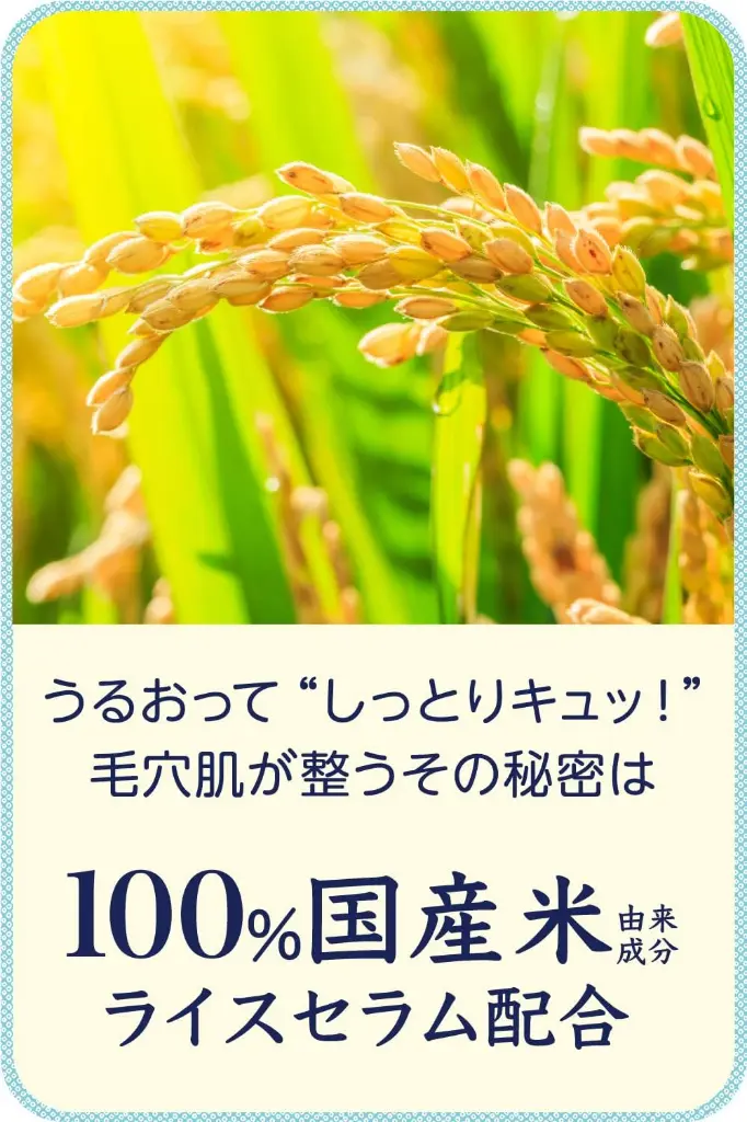 71CsTexVpnL._AC_SL1500_.webp
