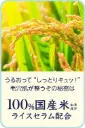 71CsTexVpnL._AC_SL1500_.webp